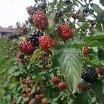 Farmház Cascina Aguzza