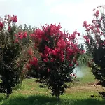 Cascina Aguzza Farmház