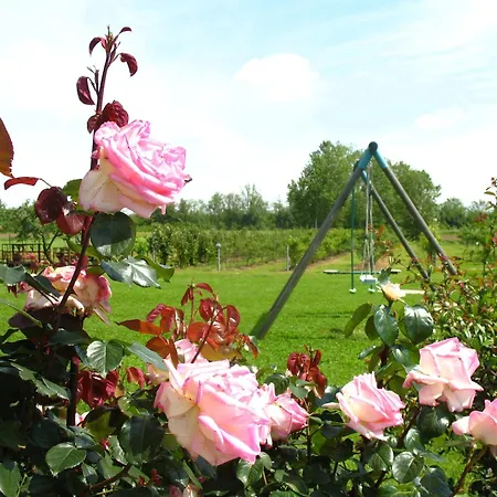 Farm stay Agriturismo Cascina Aguzza *
