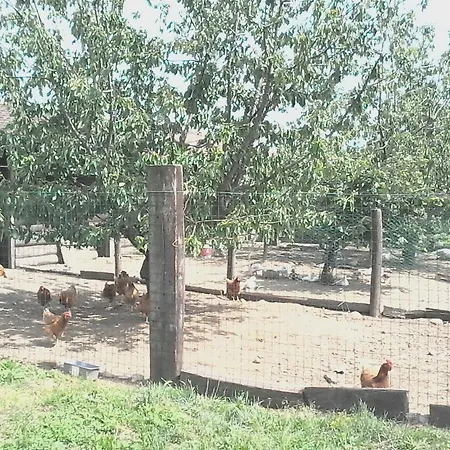 Agriturismo Cascina Aguzza Farm stay *