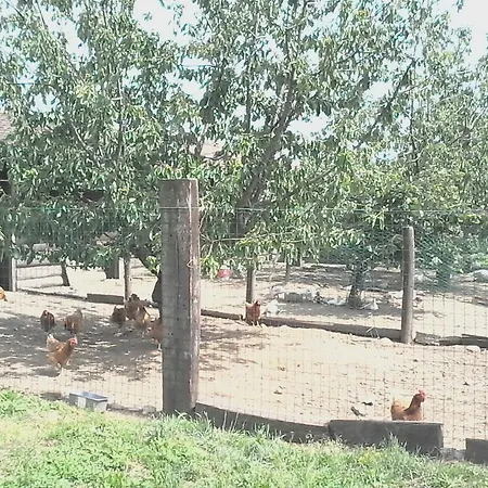Cascina Aguzza בית חווה *