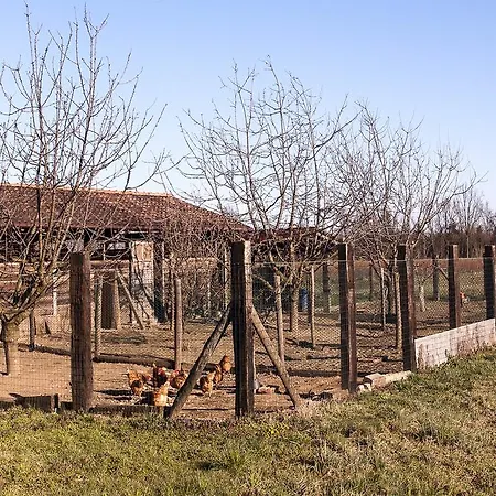 Agriturismo Cascina Aguzza *