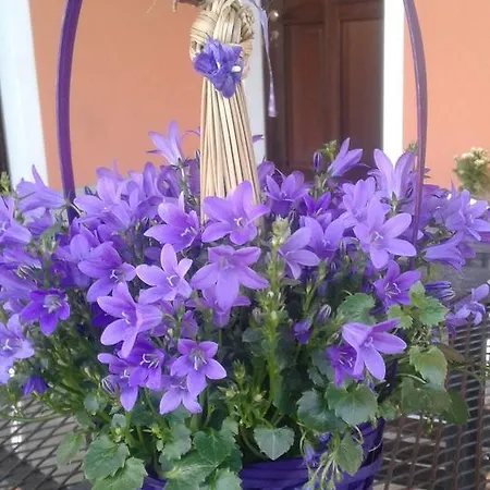 Farm stay Agriturismo Cascina Aguzza *