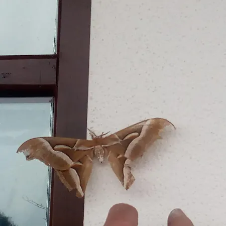 בית חווה Cascina Aguzza