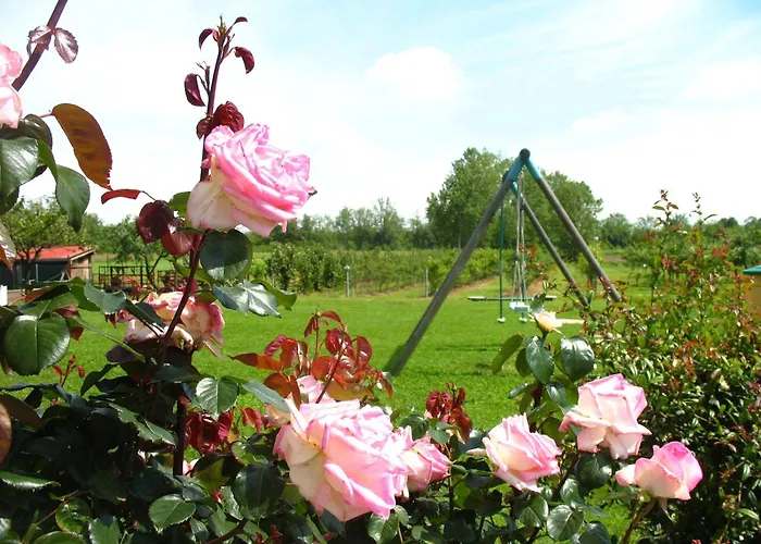 Gospodarstwo agroturystyczne Cascina Aguzza *