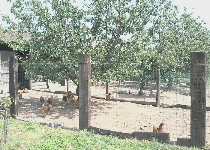 Cascina Aguzza Gospodarstwo agroturystyczne *