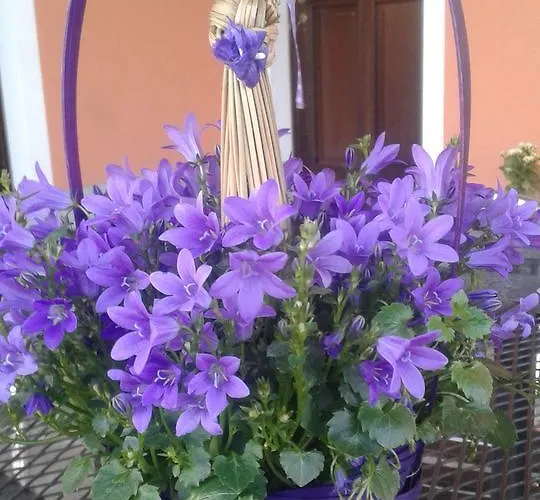 Çiftlik konaklama Cascina Aguzza *