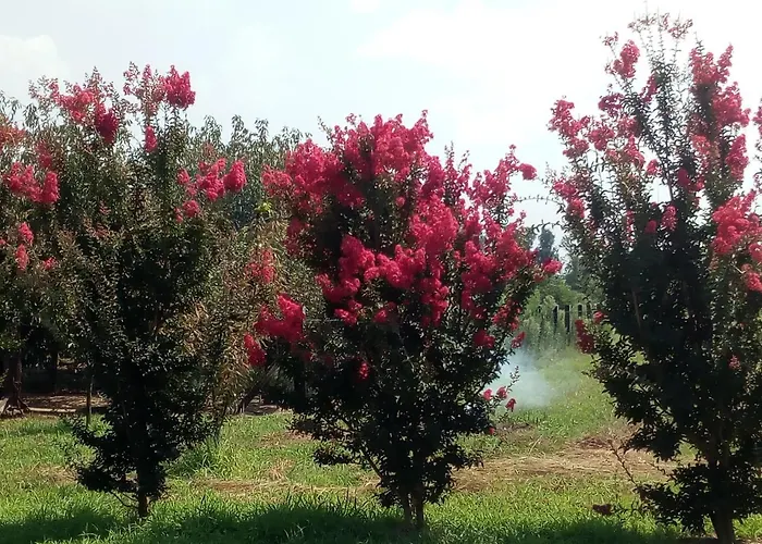 Cascina Aguzza Gospodarstwo agroturystyczne